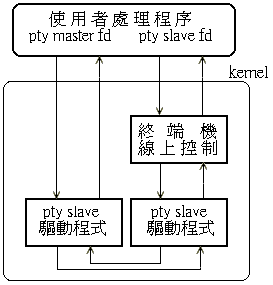 Pseudo trminal.gif (4693 bytes)